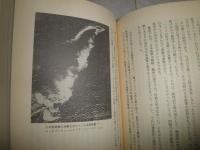 日本海軍の戦略発想　　敗戦直後の痛恨の反省　　千早正隆著　ヤケ少汚有
H2左5上