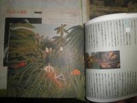 熱帯美術館　　リブログラフィックス　伊藤俊治　港千尋　ヤケシミ汚有　R1