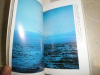 薔薇幻視　　中井英夫著　　平凡社カラー新書13　ヤケ少シミ有　G3