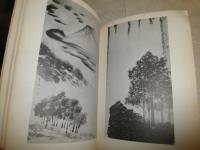 出口王仁三郎の作品　　今泉篤男　加藤義一郎　ヤケシミ汚難痛有　E5右