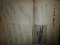 南北　　通巻28号　3巻28号　特集日本浪曼派　ヤケシミ汚有　S1右1
