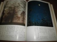 決定版　四季の美　歳時記　　初版帯　　Vカバー欠　ヤケシミ汚有　E1左　　ゆうパック送付