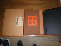 劉生画集　　武者小路実篤著　岸田麗子解説　原弘装幀　初版函箱　　汚難痛有　　ゆうパック送付　E1右下