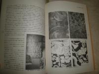紅毛文化　日蘭貿易とその影響　　初版　たばこと塩の博物館研究紀要第2号　　E2右