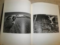 写真家細江英公の世界　　球体写真二言論　　未使用入場券・チラシ他付き計8枚　　