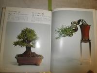 小品盆栽専科　　松柏編　樹種別仕立て方のコツ　　明官俊彦著　　ヤケシミ汚難有　E2右