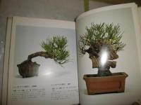 小品盆栽専科　　松柏編　樹種別仕立て方のコツ　　明官俊彦著　　ヤケシミ汚難有　E2右