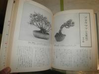 小品盆栽専科　　松柏編　樹種別仕立て方のコツ　　明官俊彦著　　ヤケシミ汚難有　E2右