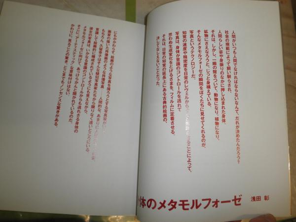 野菜から見た肉 久留幸子写真集 文・浅田彰 初版 カバー切れ有 E2右