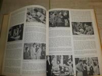 ①MOVIE GREATS　A PICTORIAL ENCYCLOPEDIA　　②THE　AMERICAN　MOVIES　　A　PICTORIAL　ENCYCLOPEDIA　　2冊セット　　ヤケシミ汚難有　　ゆうパック送付　E2左　
　