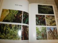 琉球の植物　　初島佳彦　中島邦雄著　除籍本　ヤケシミ汚難痛有　　函欠裸本　E2左　　ゆうパック送付
　