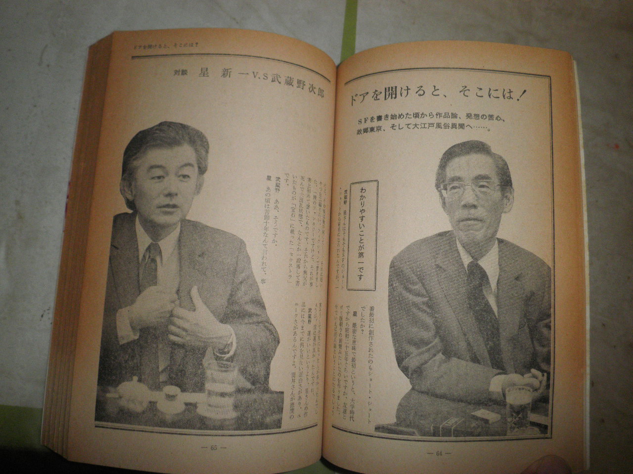 別冊新評 星新一の世界 39号 ヤケシミ多し・汚研磨有 J2中 / 古本