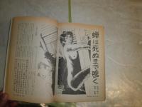 別冊問題　SM小説　　4巻11号　昭和50年11月　ヤケシミ汚難痛有　E1左上