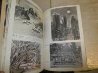 墨彩画譜　花鳥篇・風景篇　　墨絵技法シリーズ④　　相田廣平著　　初版　ヤケシミ汚有　　E2左