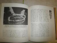 手の知恵　　秘められた可能性　　藤原房子著　　初版3刷　　帯切れ汚有　　ヤケシミ多し　汚難有　　E2左上