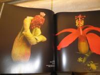 REMAINS OF A RAINBOW　　(虹の名残)　洋書写真集　　E3右3　　ゆうパック送付