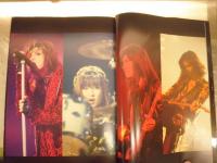 THE HISTORICAL PRESENT PEICILLIN　ペニシリン写真集　　　初版函　CD1枚有　　ゆうパック送付　　E2左