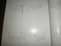 綜合書道大辞典　　新・中国の書道史　　飯島春敬著初版函　函痛有　少ヤケ少汚有　　ゆうパック送付　　E1右