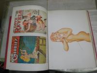 THE PIN-UP  A Modest History　　洋書　ハードカバー　ヤケシミ汚難痛有　カバー痛難切れ有　　ゆうパック送付60サイズ　　E3右下