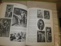 THE PIN-UP  A Modest History　　洋書　ハードカバー　ヤケシミ汚難痛有　カバー痛難切れ有　　ゆうパック送付60サイズ　　E3右下