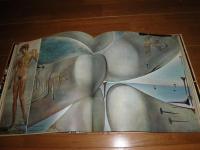 DALI　ダリ　　洋書画集　　ヤケシミ汚有　　E2左下段