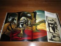 DALI　ダリ　　洋書画集　　ヤケシミ汚有　　E2左下段