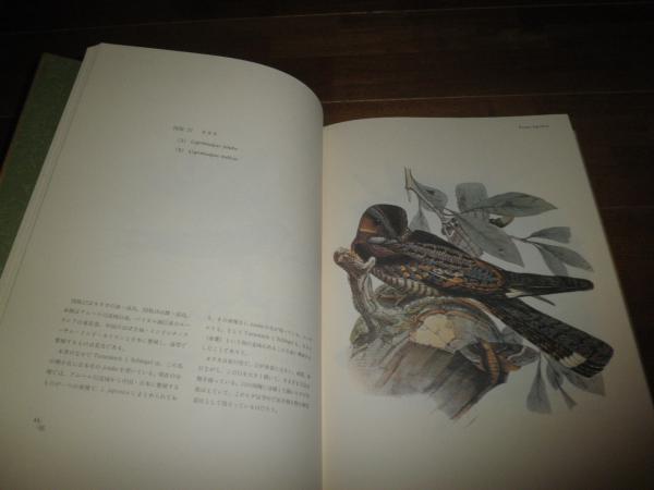 シーボルト 日本鳥類図譜 初版函 山階芳麿監修解説 ヤケシミ汚有