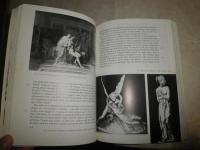 SEXUALITY IN WESTERN ART　　ペーパーバック　少線引き有　少難少痛有R2