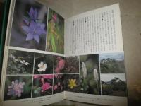 花見頃　　味岡伸太郎編者　　春夏秋冬叢書　　1刷　カバーキズ痛有　　J1左1