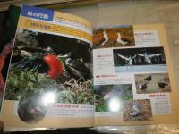 ニューワイド　学研の図鑑　　6鳥　　3刷　　送料370円　　E4左4段