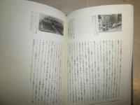 美術館からの逃走　　現代美術は風景にからみつき　　勅使河原純著　2刷　少汚ヤケシミ難有　R1