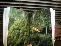カラー日本の鉄道　　写真・廣田尚敬　　文・廣田尚敬　西尾源太郎　　山渓カラーガイド47　　ヤケシミ汚難有　E5右