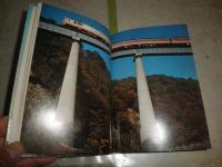 カラー日本の鉄道　　写真・廣田尚敬　　文・廣田尚敬　西尾源太郎　　山渓カラーガイド47　　ヤケシミ汚難有　E5右