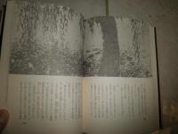 火の精神分析　　ガストン・バシュラール著　前田耕作訳　　初版　　ヤケシミ汚有　古書店シール貼り有　　S1右2