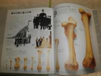 ビジュアル博物館　3骨格　1刷　監修・大英自然史博物館　　ヤケシミ少汚有　　G1右下段