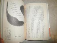 日本異界絵巻　　小松和彦　宮田登　鎌田東二　南伸坊著　1刷帯　少ヤケ少シミ有　K2左