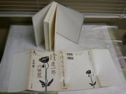 隆慶一郎の世界　　中島誠著　　初版1刷　　シミ多し　ヤケ汚難有　　