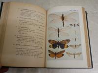 原色千種　昆虫図譜　　平山修次郎著　松村松年校閲　　45版　　ヤケシミ多し　汚難痛有　見返し記名印有　　裸本　　H3左4