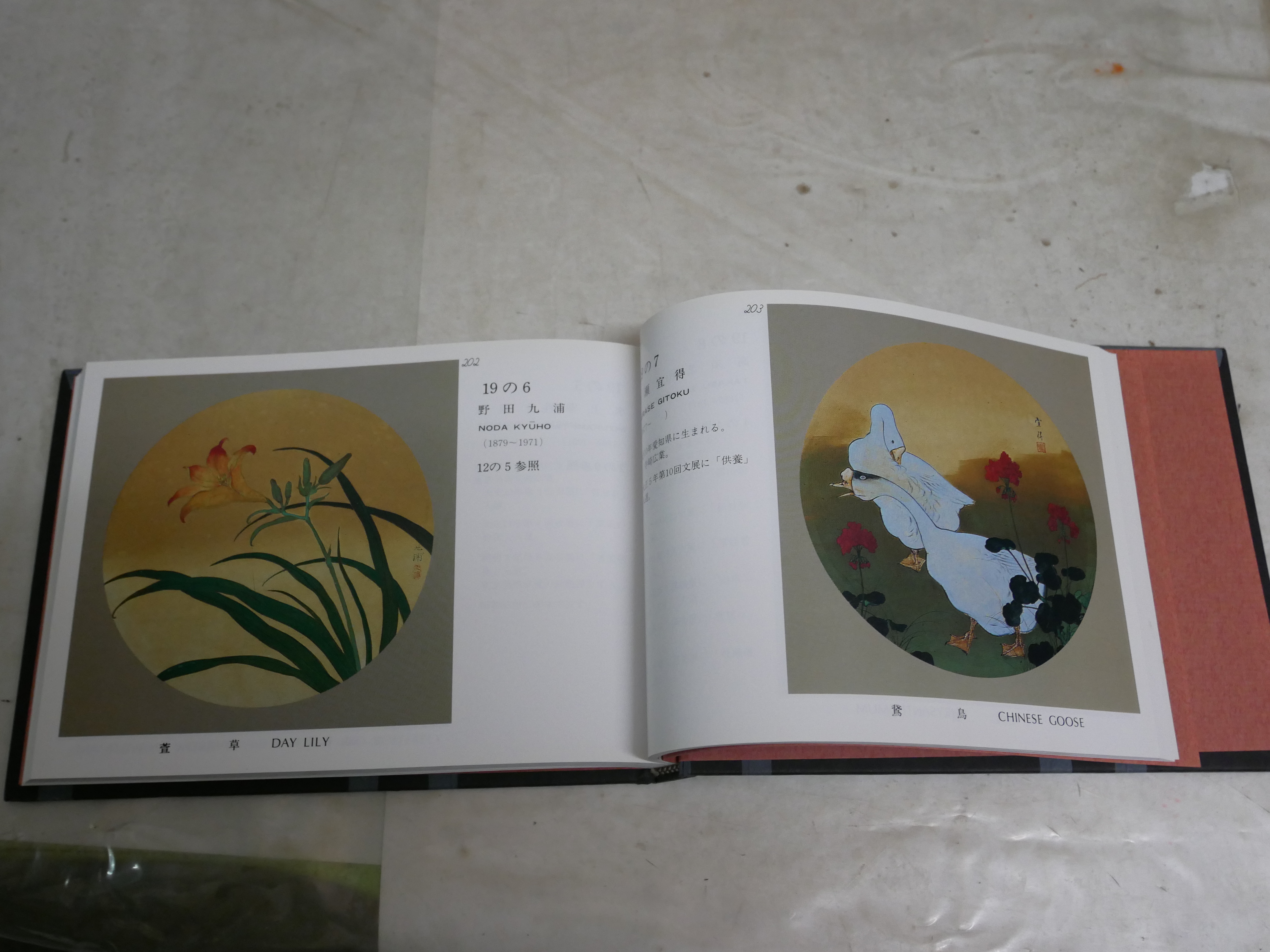 永平寺 傘松閣天井絵 監修馬来田愛岳 9版 シミ汚有 H3左4(監修馬