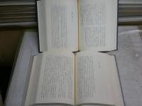 イギリス詩論集　上下2冊　　岡地嶺訳編　中央大学学術図書　　ヤケシミ汚難痛有　L1右