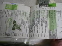 江戸に関する本3冊セット　　・別冊宝島126江戸の真実　1997年4月19刷270頁　　・歴史読本臨時増刊特集大江戸悪人伝　通巻526号平成2年6月335頁　　・江戸大名の墓を歩く　河原芳嗣著ロッコウブックス　初版帯283頁平成3年8月　　ヤケシミ汚難有　　レターパックプラス送付　H3左4
　