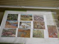 絵葉書　第5回文部省美術展覧会　1911年明治44年　洋画　19枚　袋付　S3下段