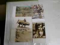 絵葉書　第3回文部省美術展覧会　1909年　明治42年　11枚　優待券付　袋付　ヤケシミ汚有　　S3下段