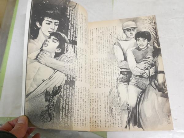 JUN  創刊号  1978年10月 コミックジュン Jun 創刊2号 1978年12月 ・ジュネ JUNE 復刊1‐8