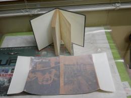 ムジール　　ヴィルフリート・ベルクハーン著　田島範男・伊藤寛訳　ロロロ伝記叢書　1刷　Vカバー欠　ヤケシミ多し　汚難痛有　　L1右