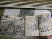 キャンディ　キャンディ　愛蔵版　　全2冊揃　　原作水木杏子　いがらしゆみこ漫画　　初版帯　　小口ヤケシミ汚有　E9右