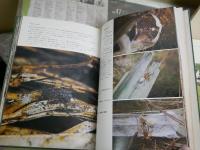 ・琉球列島　生物の多様性と列島のおいたち　安間繁樹著　2001年10月　1版1刷　195頁　・沖縄島嶼研究1号　・沖縄の陸の動物　池原貞雄ほか著　S50年1月初版143頁　・琉球の自然と風物　高良鉄夫著1969年初版函ヤケシミ汚有　・共同研究②イリオモテヤマネコの保護と～66頁1981年　　・沖縄天然記念物調査　西表島天然記念物緊急調査報告1983年116頁　計6冊セット　レターパック送付　H2左4