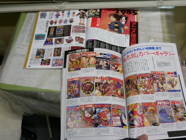 ゲゲゲのフィギュア王 No13総力特集水木しげる フィギュア王No113不滅