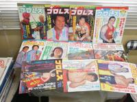 週刊プロレス　創刊号‐289号　不揃46冊セット　ヤケシミ汚難痛有　誠心会館プログラム1部有　　ゆうパック送付　　S1上段　