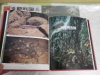 レッドデータアニマルズ　　日本絶滅危機動物図鑑　　1刷　少汚少難有　カバー裏シミ多し　H2左1